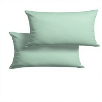 Taie d'oreiller 100 % coton percale unie anti-boulochage et drap plat taille Queen, couleur argent, 20x30 pouces, frais et rafraîchissant
