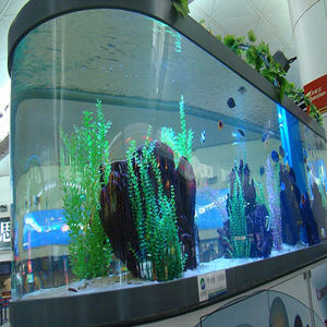 Penjualan langsung dari pabrik semua jenis akuarium kaca putih kustom 5 in 1 tangki ikan kaca - Product Image 6