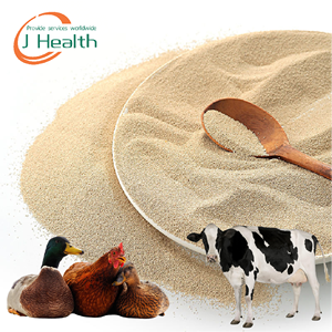 Poudre de probiotiques pour volailles, supplément Candida Utilis pour l'élevage de poulets, améliore les performances des œufs, additifs pour l'alimentation - Product Image 1