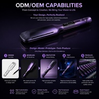 Service OEM/ODM Torlin, lisseur à vapeur électrique à chauffage rapide, couleur dégradée Paris, 250C/480F, lisseur à cheveux professionnel