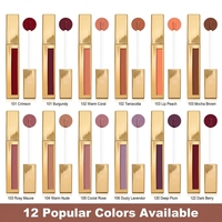 Vente en gros de gloss à lèvres hydratant, huile à lèvres liquide, rouge à lèvres liquide, en tube doré, fini velours satiné mat, résistant à l'eau, marque privée, faible MOQ 100