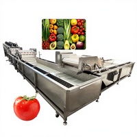 De Industriële Ozon Luchtbel Fruit En Groente Wassen Oplossing Tomaat Wasmachine Voor Het Reinigen Van Tomaat