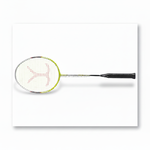 Raquettes de badminton en graphite à haut module fabriquées à Taïwan - Product Image 1