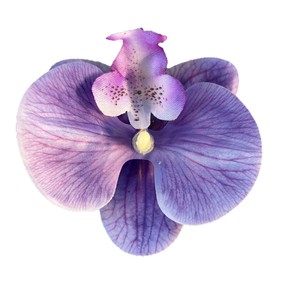 Flores Artificiales Pingping, Cabeza de Orquídea Phalaenopsis, Flor de Seda Impresa en 3D, Decoración para Bodas - Product Image 2