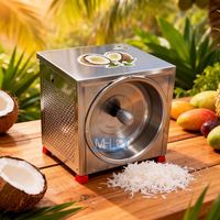 Machine électrique en acier inoxydable pour le traitement de la noix de coco, râpeuse et broyeur de chair de noix de coco