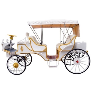 Vehículo de transporte especial eléctrico de 6 plazas/vagón turístico eléctrico noble a la venta/vagón de Turismo de parque con sonido - Product Image 1