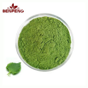 高品質食品グレード桑の葉エキス<span class=keywords><strong>10</strong></span>:1天然グリーンパウダー（アルカロイド＆タンパク質含有）ドラム包装 - Product Image 1