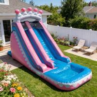 Toboggan aquatique gonflable en PVC sur le thème de la barbe à papa, écologique, pour enfants, usage commercial extérieur, 6 à 12 passagers