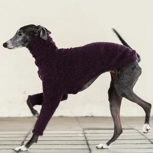 Qipet Pet malzemeleri özel yeni tasarımcı köpek giysileri İtalyan Greyhound giyim, İtalya yün Boa örgü uzun kollu kazak jumper