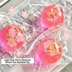 Nuevo Diseño, Edición Limitada de Primavera y Verano, Pelota Antiestrés de Flor de Cerezo Rosa de 6 cm, Juguete Blandito de Azúcar de Malta para Regalo - Product Image 5