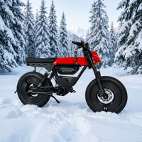 Sepeda Gunung Listrik 48V 1000W Mid Drive dengan Ban Tebal 20x4.0 dan Suspensi Ganda untuk Dewasa