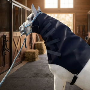 Mejor Precio al por Mayor para el Arnés de Cuello de Neopreno BLUHORSE BH-874 de Alta Demanda, Ajuste Delgado para Entrenamiento de Equitación, Solo Limpieza en Seco - Product Image 3