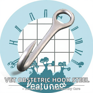 Crochet d'obstétrique, instrument vétérinaire, acier inoxydable 304, réutilisable, outil chirurgical d'assistance à la naissance des chiens et des animaux, qualité certifiée CE - Product Image 2
