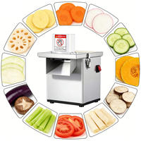 Multifunctionele commerciële wortelgroente-, aardappel- en fruit snijmachine met motor 220V, laag geluidsniveau, voor diversificatie in de landbouwverwerking