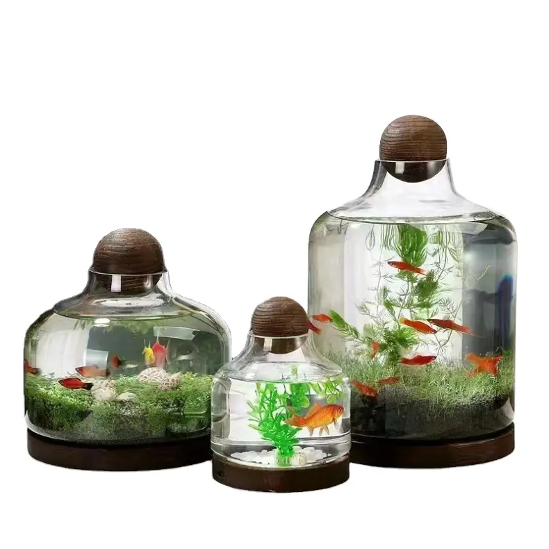 Bandeja de madeira espessada japonesa para aquário, vaso de vidro grande com fundo hidropônico transparente, ideal para venda
