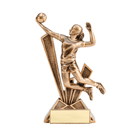 Trophée de volley-ball féminin WeiVista, gravé sur mesure, vente en gros pour les vainqueurs des compétitions scolaires