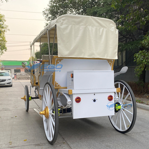 Nuevo Diseño 2025, Carroza Eléctrica de Cenicienta de Estilo Moderno y Popular, Carroza Real de 4 Ruedas para Paseos Turísticos Victoria en Venta - Product Image 5