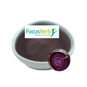 ผงสกัดหัวไชเท้าดำธรรมชาติ FocusHerb 4:1 ผงแครอทสีม่วง - Product Image 1