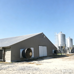 Poulailler en acier préfabriqué, installation facile pour les petites et moyennes exploitations agricoles - Product Image 6