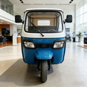 Triciclo Eléctrico de Pasajeros ELICK, 4 Pasajeros, Velocidad 50-70 km/h, Autonomía 70-90 km, Carga Útil 400 kg, Peso en Vacío 500 kg - Product Image 2