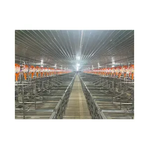 Farrowing Crate Pig Fast Delivery Hot Dipped Galvanized Animal Husbandry Pig Farming Equipment Vietnam Manufacturer