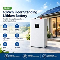 Batterie au lithium Deye 51.2V 314Ah, batteries lithium-ion basse tension, batterie solaire Lifepo4, prend en charge la charge maximale. 32 pièces en parallèle