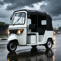 Triciclo Eléctrico de Pasajeros con Logotipo Personalizado de China, 6 Plazas, con Batería de Plomo-Ácido para Transporte Urbano de Pasajeros en Uganda
