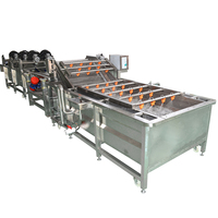 Root Groente Surf Luchtbel Wasproductielijn Fruit Plakjes Gesneden Fruit Wortelgroenten Wassen Reinigingsapparatuur