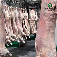 Viande d'agneau surgelée nutritive certifiée Halal, expédition en vrac