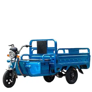 Adult Electric Auto Pedal Cars Trike 3 Wheel Tricycle Motor For Cargo