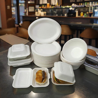 Boîte à lunch jetable biodégradable écologique Assiette carrée en pâte de canne à sucre Assiettes de bagasse en canne à sucre