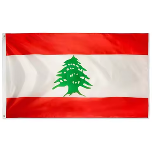 Jordanien-Flagge 3x5 Fuß 100D Banner mit 2 Metallösen Verblassungsresistent Lebendige Farben Individuelles Logo Digitaldruck Maßgefertigt Großhandel - Product Image 4