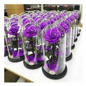 Ewige Blume Glas abdeckung neue Liebe ewige Rose erhalten Follewer ewige Rose in Glaskugel mit