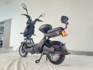 Nouvelle <span class=keywords><strong>moto</strong></span> électrique EEC 800w 48V 60v 20AH deux roues avec 2 places vélo électrique adulte 25kmh homologation en Europe - Product Image 6