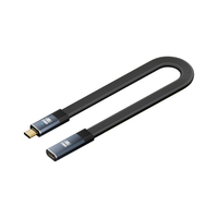 Câble d'extension FPC plat Type-C mâle-femelle 100W PD 5A Charge rapide 20 Gbps OTG Vidéo audio 8K VR Ordinateur portable Téléphone portable Cuivre pur