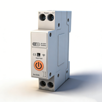 Disjoncteur intelligent TUYA WiFi sans fil avec minuterie, compteur KWH, télécommande et protection contre les surtensions 63A, en PA66 Li