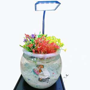 Standaard Praktisch Rond Transparant Plastic Aquarium 6 Liter Huisdiermateriaal Aquarium Klein Bureaublad Sieraquarium - Product Image 4