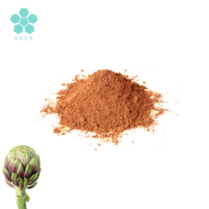 Bulk Food Grade Natuurlijke Organische Halal <span class=keywords><strong>Cynara</strong></span> Scolymus/Artisjok Leaf <span class=keywords><strong>Extract</strong></span> 2.5%, 5% Cynarin Poeder - Product Image 3