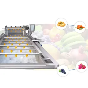 Linha De Lavagem De Alta Pressão Automática Completa E Embalagem Vegetal Linha De Produção De Limpeza De Frutas E Vegetais