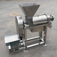 Industriële fruitverwerkingsmachine voor sapwinning, machine voor het vermalen en sap maken van fruit en groenten in grote hoeveelheden