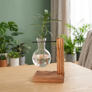Vase en verre sur support en bois moderne, propagateur de plantes hydroponiques, décoration de bureau intérieure, style minimaliste, finition émaillée écologique - Product Image 3