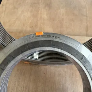 Ücretsiz örnek ASME B16.20 Spiral sargı conta 400mm paslanmaz çelik grafit dolgu Spiral sargı conta
