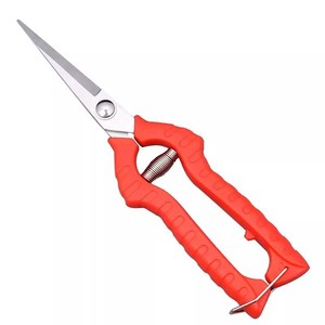กรรไกรตัดผลไม้ สแตนเลส สีแดง แบบ Bypass ขนาด 10-20 มม. สำหรับตัดแต่งต้นไม้ผลไม้ - Product Image 5