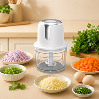 Hachoir à viande électrique portable sans fil, mini hachoir alimentaire rechargeable, robot culinaire pour ail et légumes