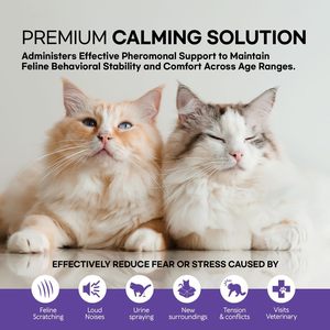 Efficace 100% Safe Cat Phéromones Kit <span class=keywords><strong>Diffuseur</strong></span> Calmant avec 1 <span class=keywords><strong>Diffuseur</strong></span> + 4 Recharges (48ml) Rechargeable - Product Image 4