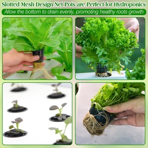 Tazas de maceta de red de malla de plantación hidropónica más populares, cesta de plástico para jardín, vivero, germinación, taza de cultivo de plantas - Product Image 4