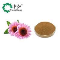 Extrait de Poudre d'Échinacée Purpurea (4% Acide Chicorique, Polyphénols Végétaux) Qualité Alimentaire, Conditionné Sous Vide dans un Récipient en Verre