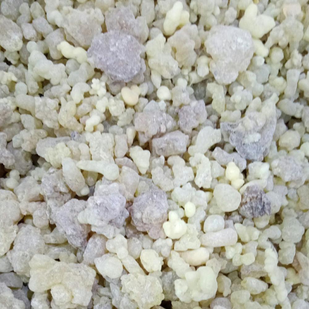 1kg スーペリアホジャリ乳香ボスウェリア・サクラ（オマーン) 野生ボスウェリア・サクラ樹脂《アルホジャリ》（オマーン産