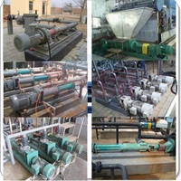 Pompe à vis progressive en acier inoxydable pour l'industrie pétrolière et gazière, pompe monovis à flux multiphase, haute capacité, contrôle entièrement automatique