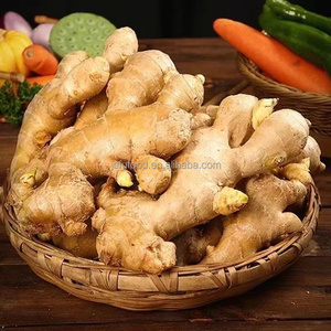 Jengibre Fresco Joven de Alta Calidad, Orgánico, Amarillo Brillante, 100g-300g, <span class=keywords><strong>Alimento</strong></span> Natural Puro Cultivado en Granja, Exportación Directa de China - Product Image 4